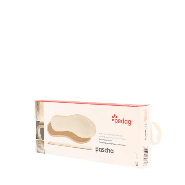 AW25_PEDAG_PASCHA_NIL_02