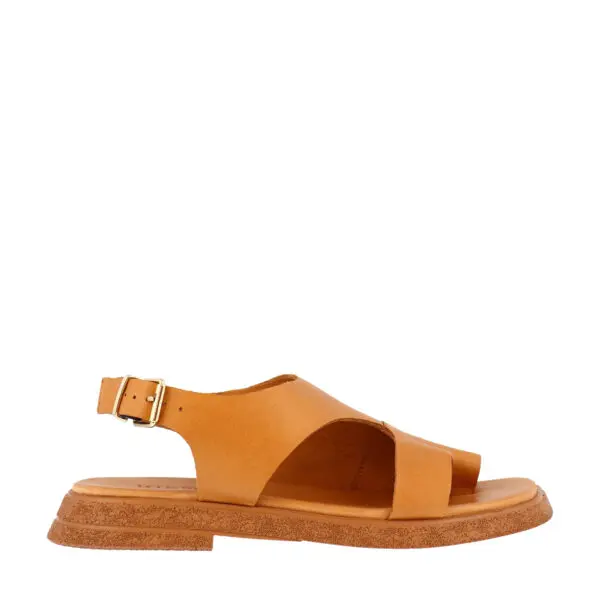 The Midweek Collection Farmers Market Hustle