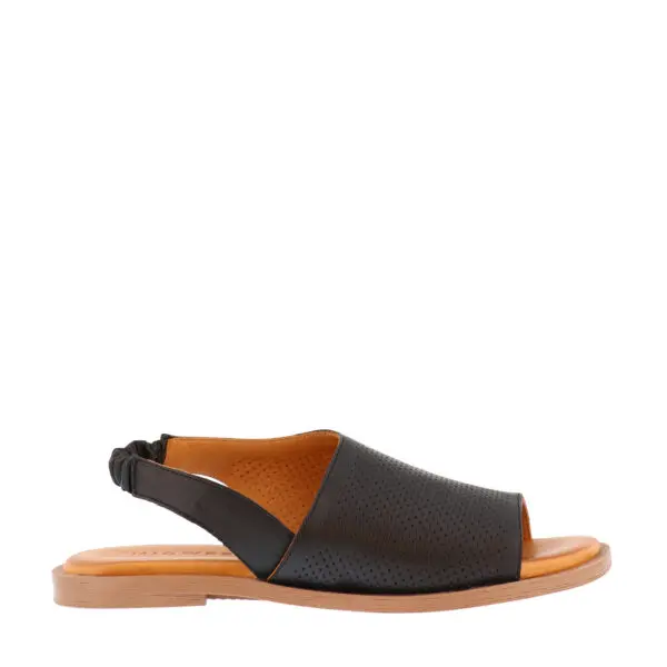 The Midweek Collection Wfh 7 Days a Week