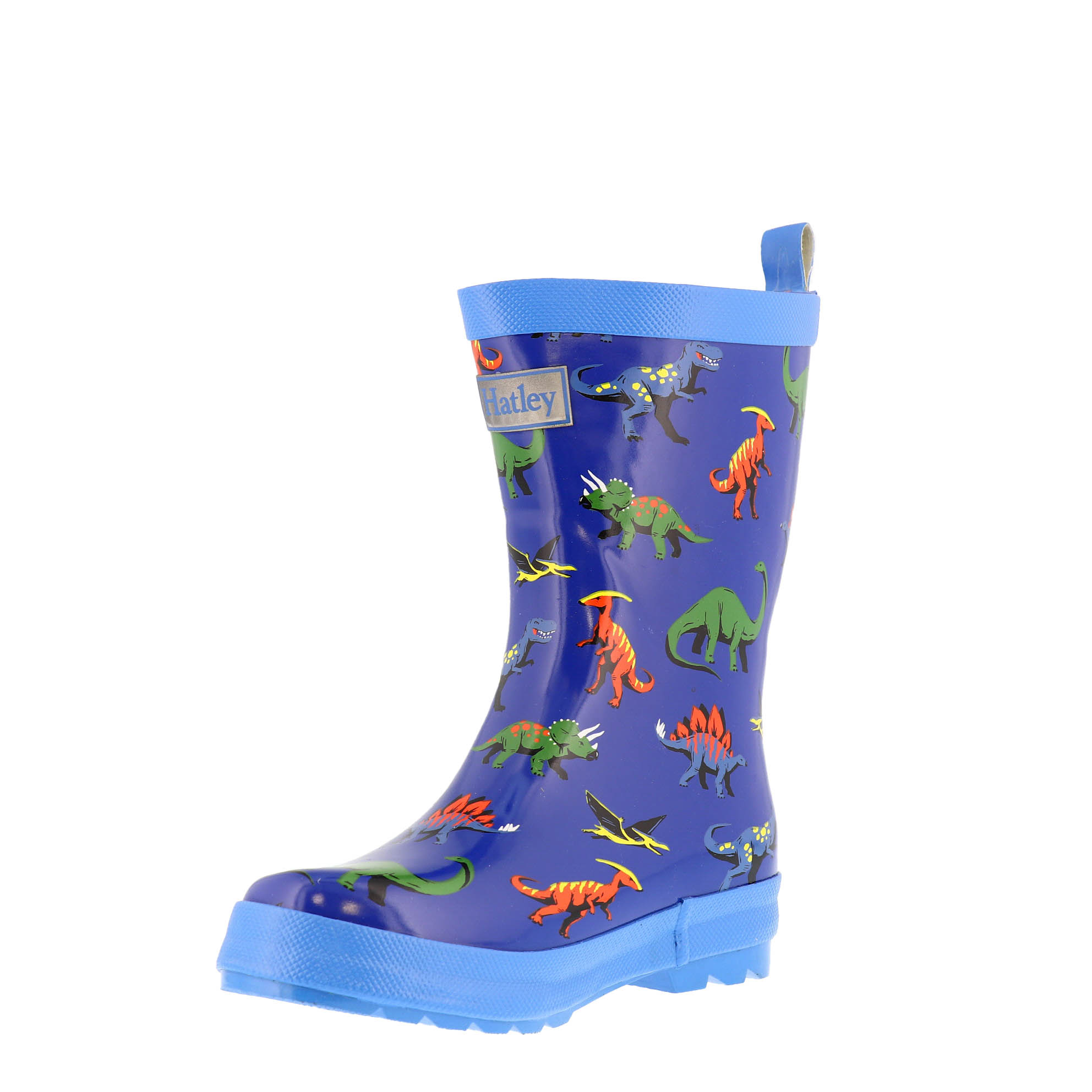 dino rain boots