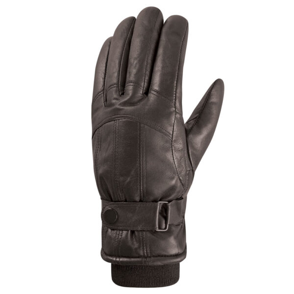 Auclair James II Leather Glove