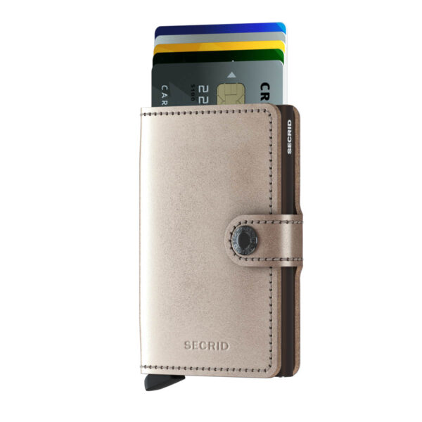 M-Metalic_Champagne_Brown_Front_Cards_2_SQUAREEDIT