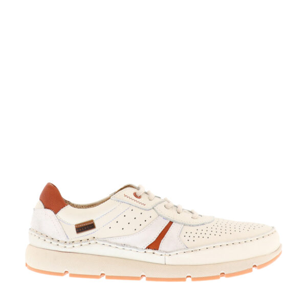 Baerchi Me Virgo 2701 Lace Sneaker