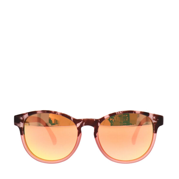 Midweek Shades G Albertosaurus Bones
