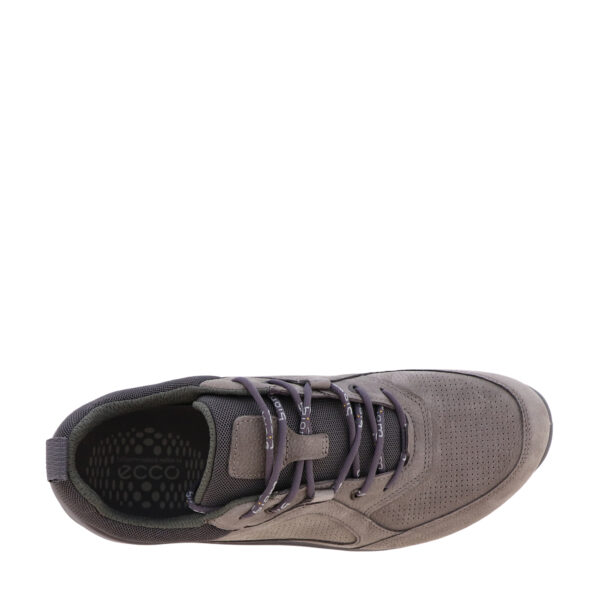 AW25_ECCO_850814_MAGNET_05