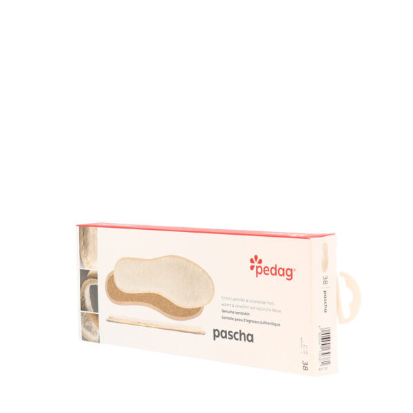 AW25_PEDAG_PASCHA_NIL_02