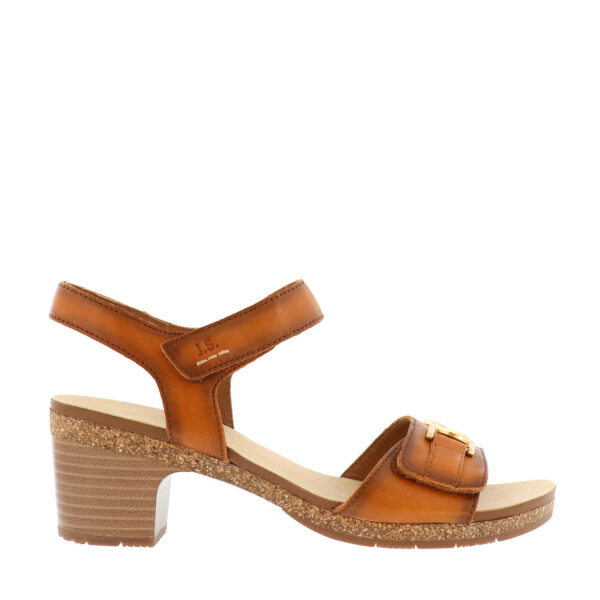 Josef Seibel Ibiza 86 Sandal - Kunitz Shoes